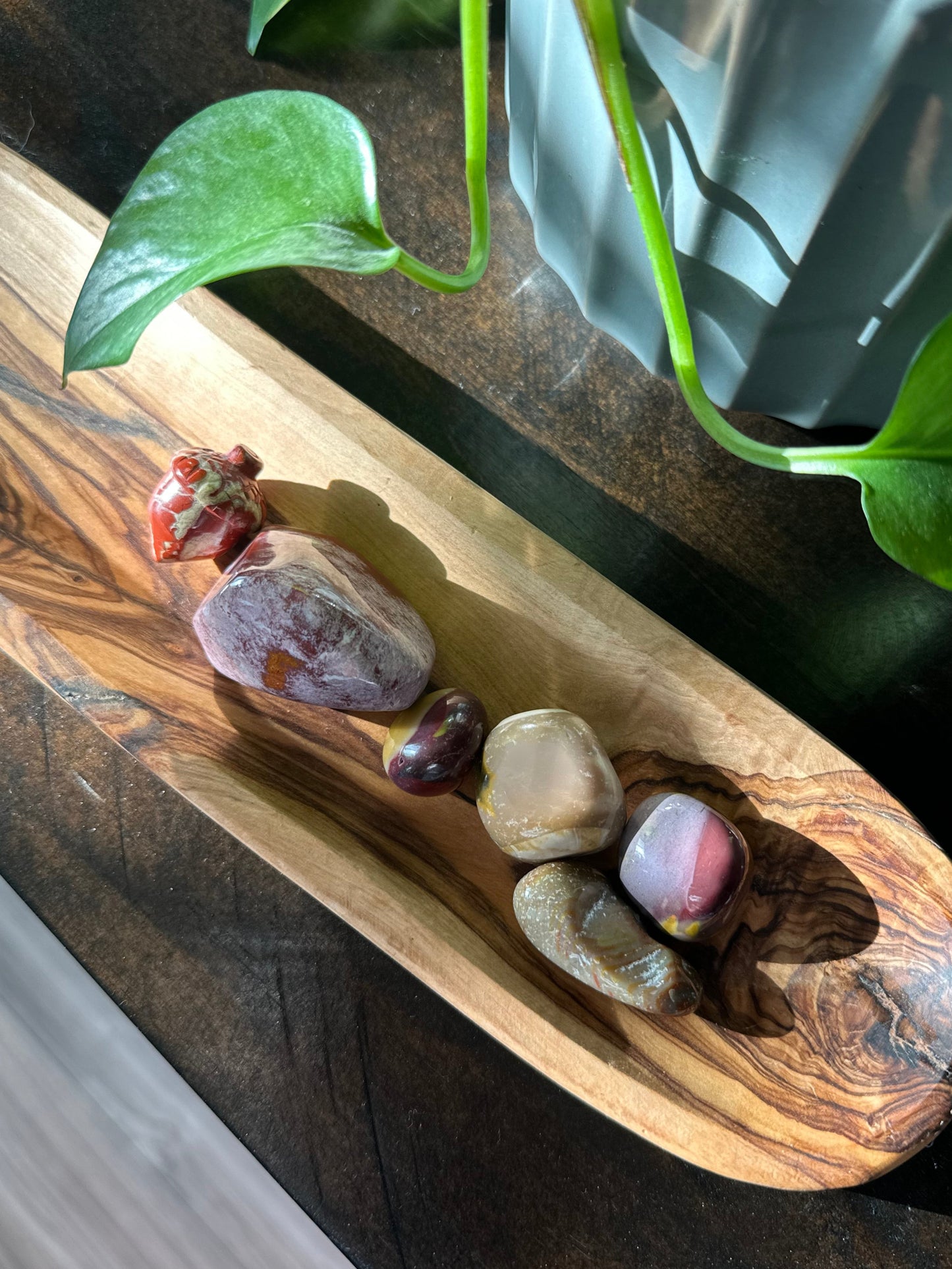 Wooden tray with stones and a butterfly on a dark surface with a plant in the background