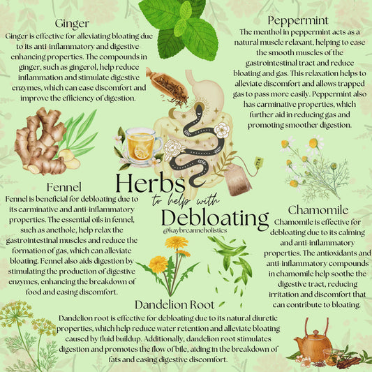 Herbs to Help with Debloating