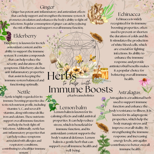 Herbs to Help with Immune Boosts