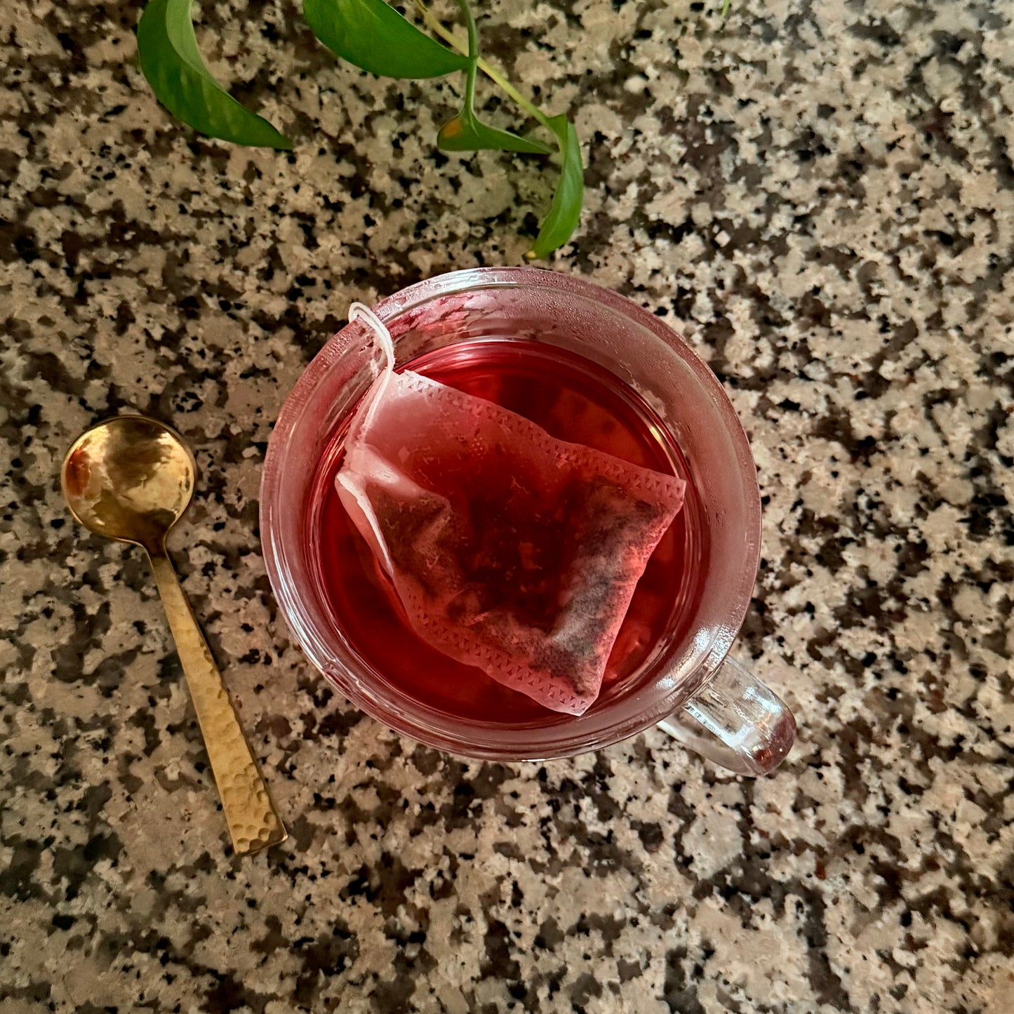 Biodegradable Drawstring Empty Tea Bags 20ct